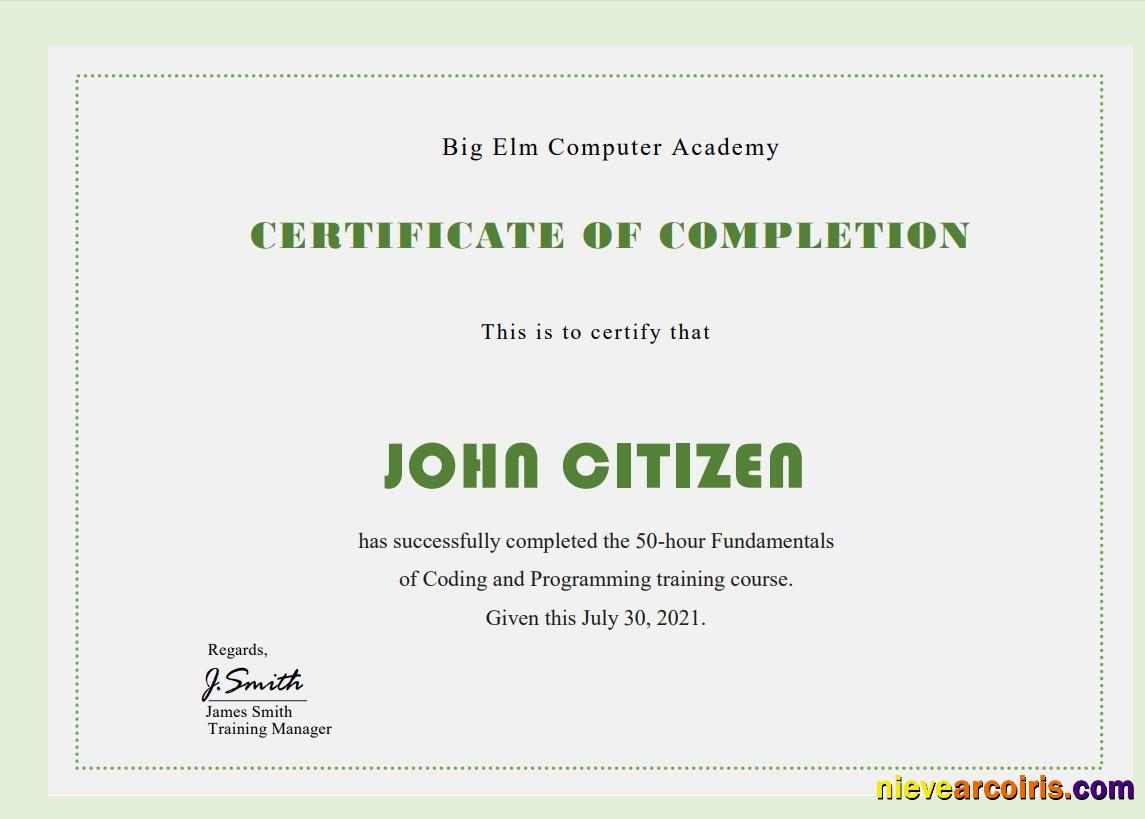 USA Computer Training certificate